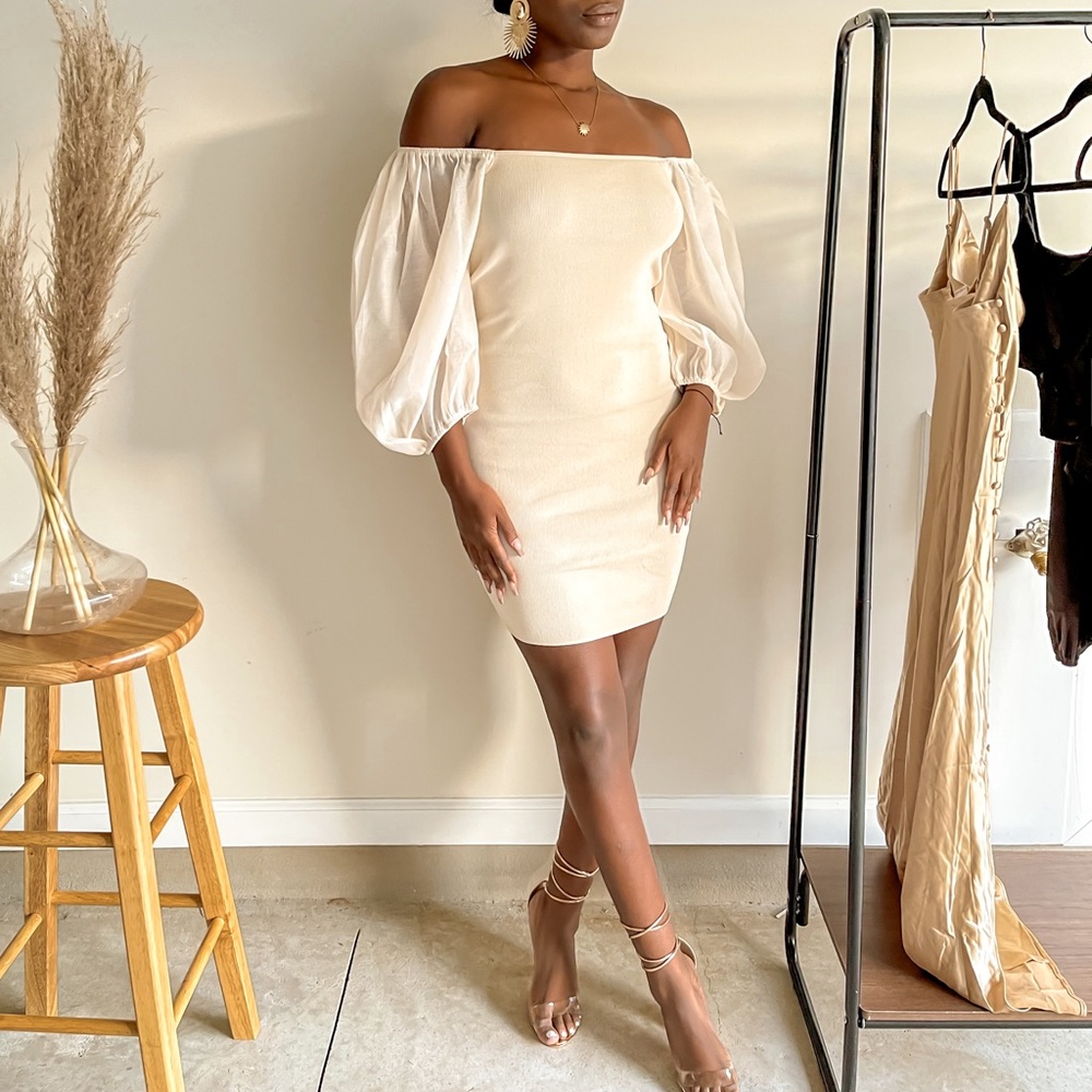 Organza Puff Sleeve Dress